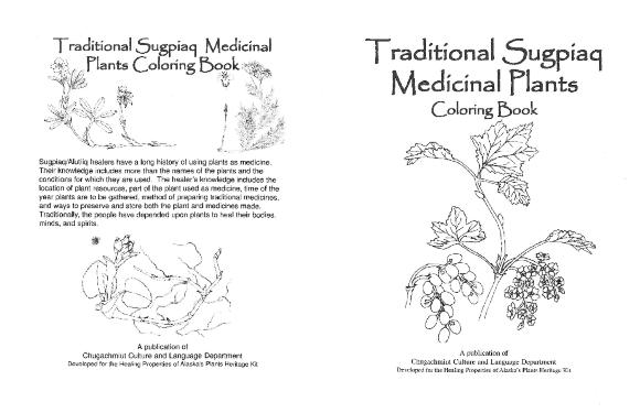 Traditional Sugpiaq Medicinal Plants Coloring Book