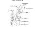 Activity Plans