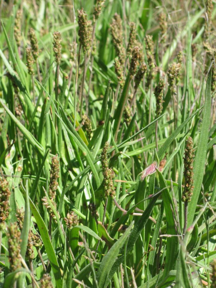 2011 Summer 002.JPG