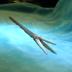 2011 Summer 002.JPG