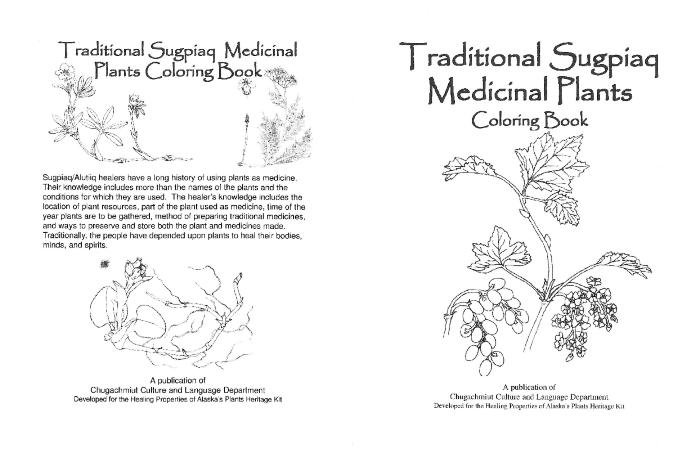 Traditional Sugpiaq Medicinal Plants Coloring Book