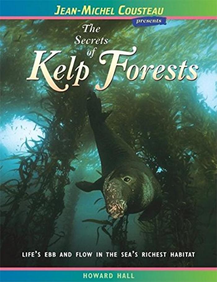 kelp forests.jpg