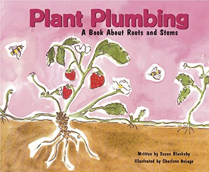 plant plumbing.jpg