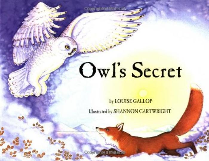 owl's secret.jpg