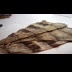 2023.010.180.MP4
