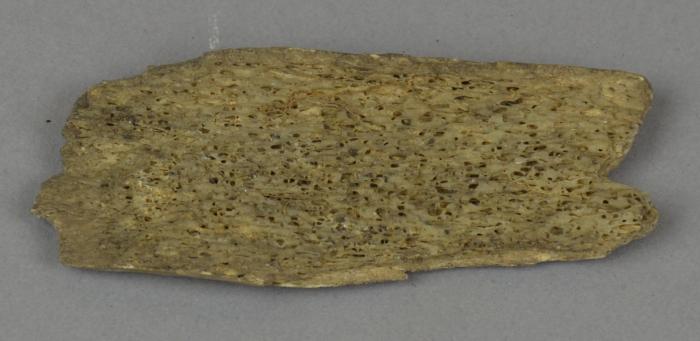 bone utensil (fragment)