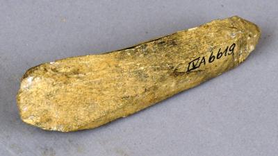 Bone utensil
