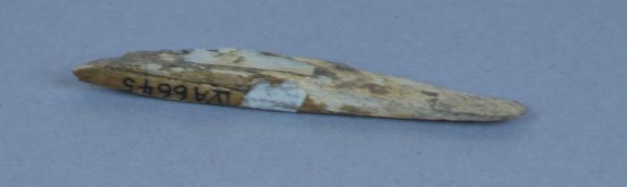 bone arrowhead
