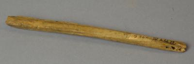 Bone