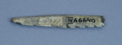 Bone arrowhead