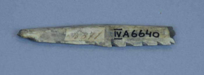 Bone arrowhead