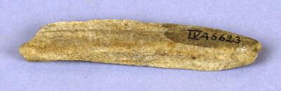 Bone utensil (fragment)