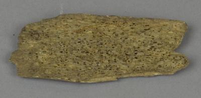 bone utensil (fragment)