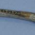 bone arrowhead
