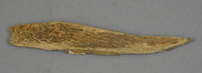 bone arrowhead