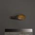 Spoon