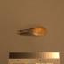 Spoon
