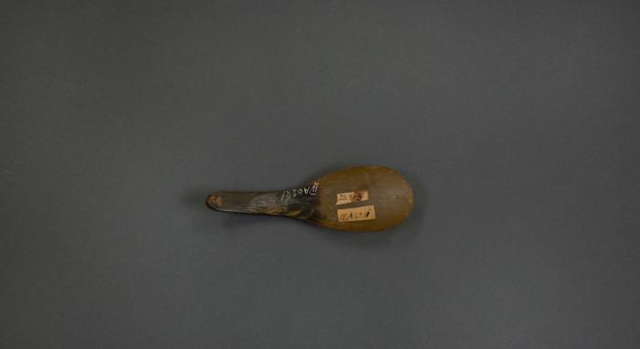 Spoon