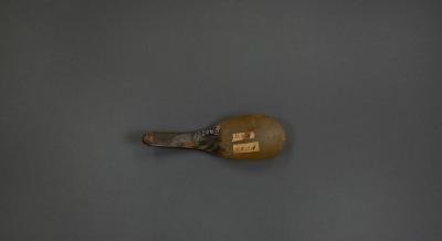 Spoon