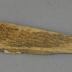 bone arrowhead