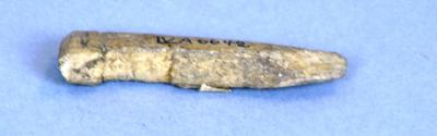 Bone arrowhead