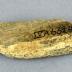Bone utensil (fragment)