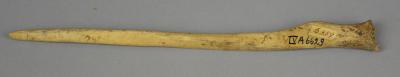 Bone awl