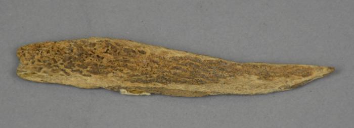 bone arrowhead