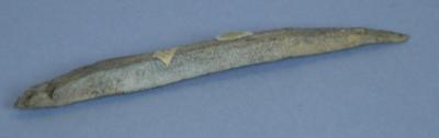 Bone arrowhead