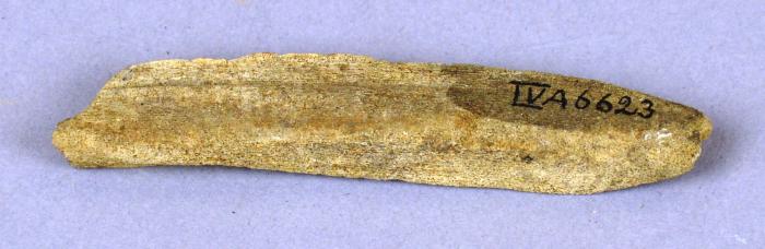 Bone utensil (fragment)