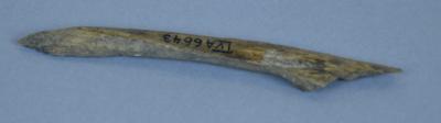 bone arrowhead