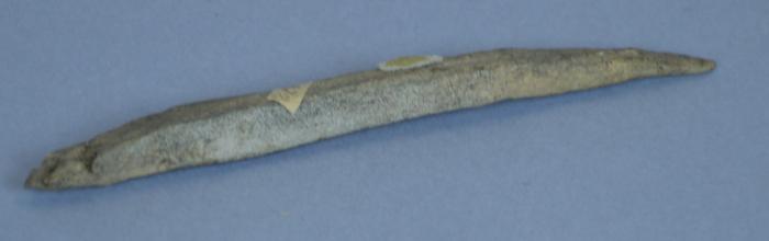 Bone arrowhead
