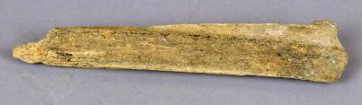 Bone implement