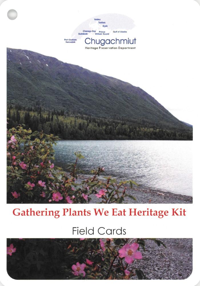 Gathering Plants We Eat Field Cards