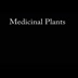 Medicinal Plants with Kathy Brewster 2010 digital