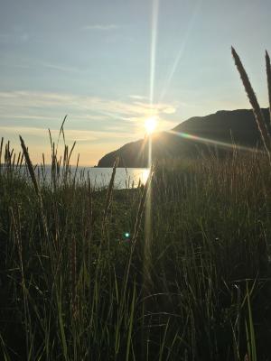 Nuuciq Beach Grass