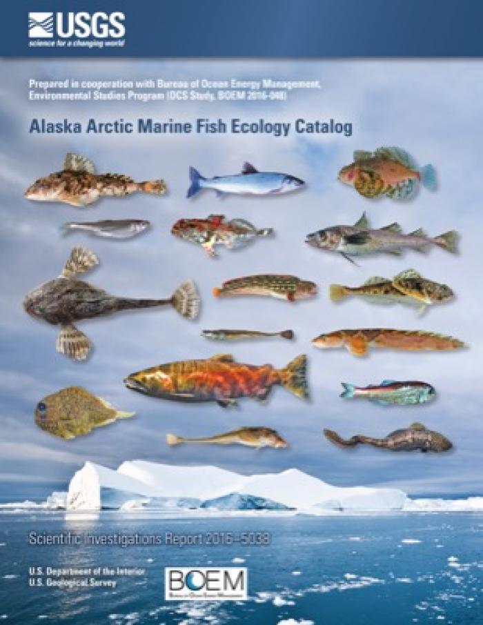 arcticfish.jpg