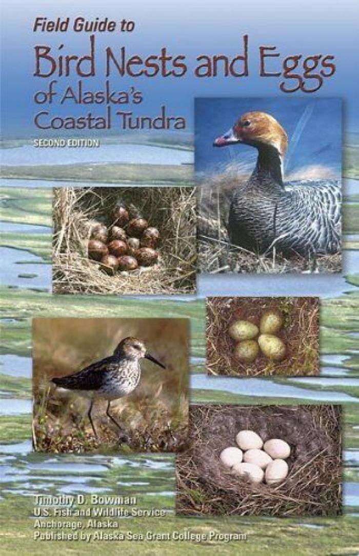 bird nests and eggsbook.jpg